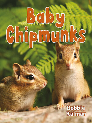 cover image of Baby Chipmunks